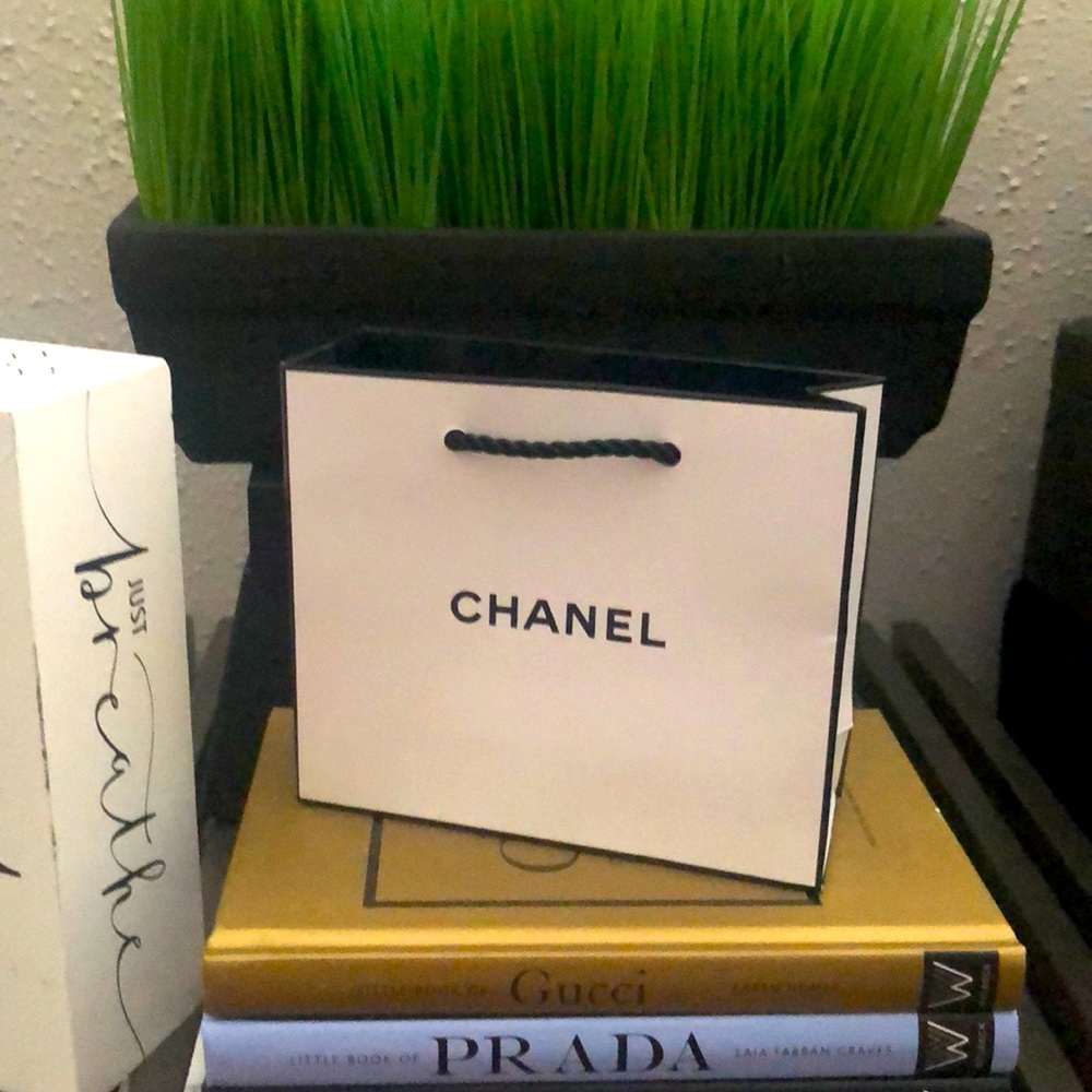Chanel Store Bag Small Size
